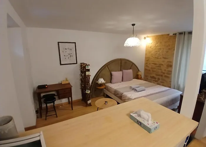 20m2 - Stationnement Gratuit - Wifi 公寓 第戎